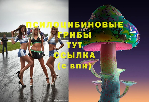 МДПВ Алексин