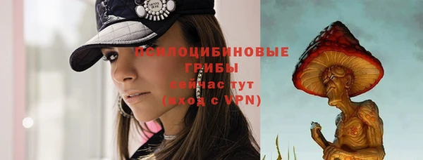 индика Сафоново