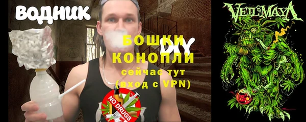шишки Алзамай