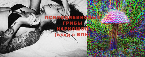 МДПВ Алексин
