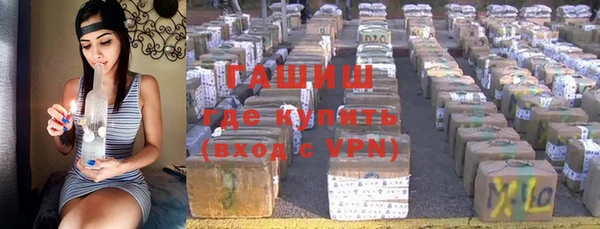 шишки Алзамай