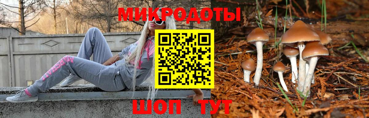 Бирск  Псилоцибиновые грибы прущие грибы  купить наркотик  Псилоцибиновые грибы ЛСД  Вход с VPN 